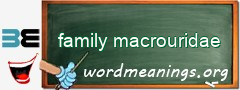 WordMeaning blackboard for family macrouridae